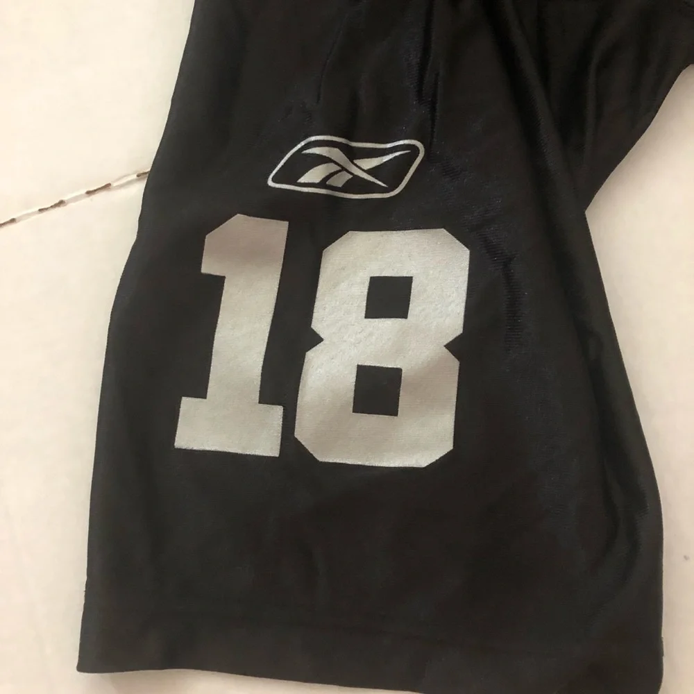 Randy Moss Raiders Jersey. Reebok NFL equipment XL - Picture 9 of 10